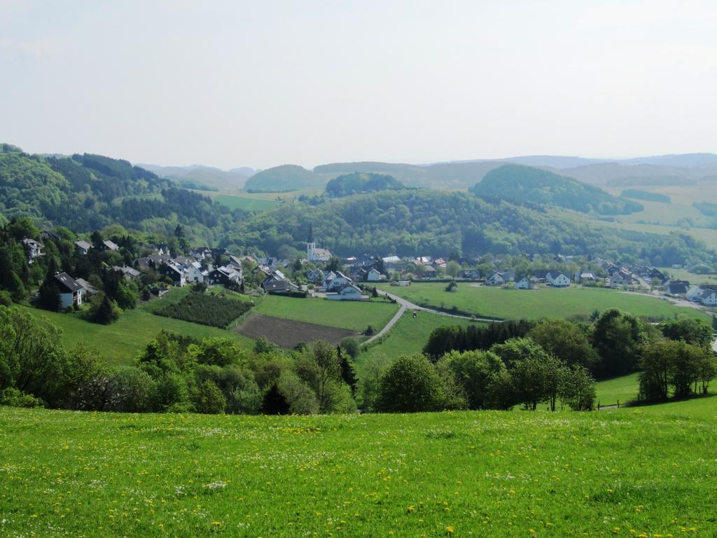 Ferienwohnung Schoenhense Medebach Dış mekan fotoğraf