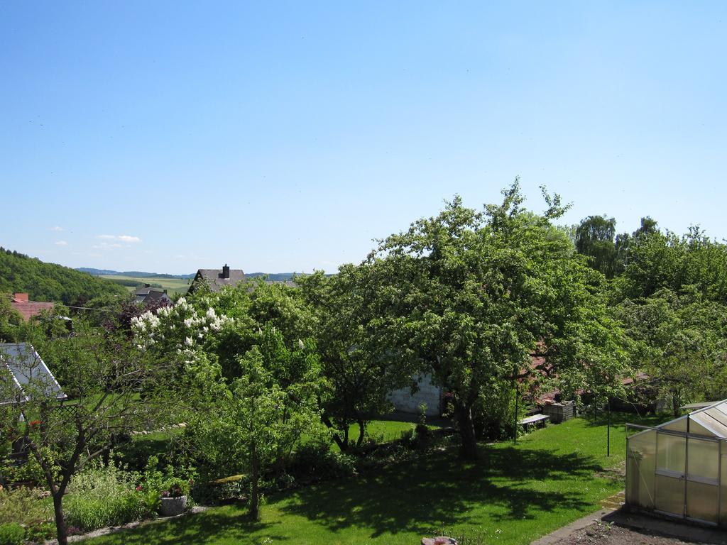 Ferienwohnung Schoenhense Medebach Dış mekan fotoğraf